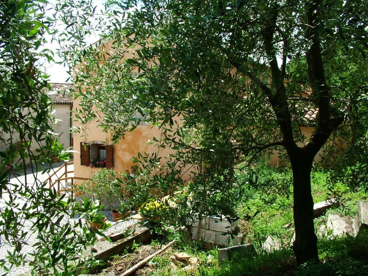 Agriturismo La Scuderia Galzignano Terme Exterior foto