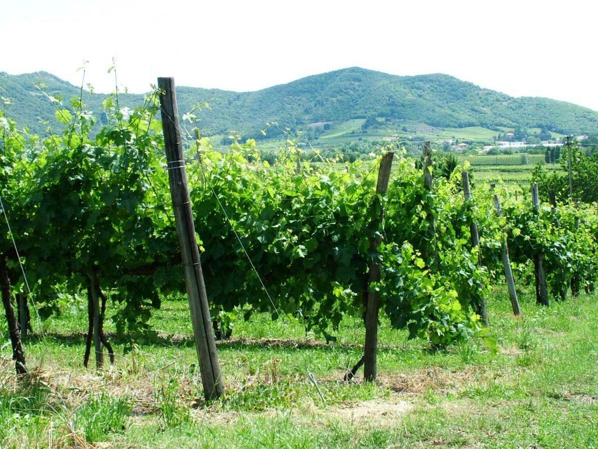Agriturismo La Scuderia Galzignano Terme Exterior foto